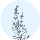 Image 25573818728625