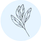 Image 25573816762545