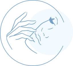 Image 24330305241265
